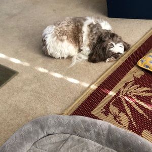 Meet your Posher, Junanne